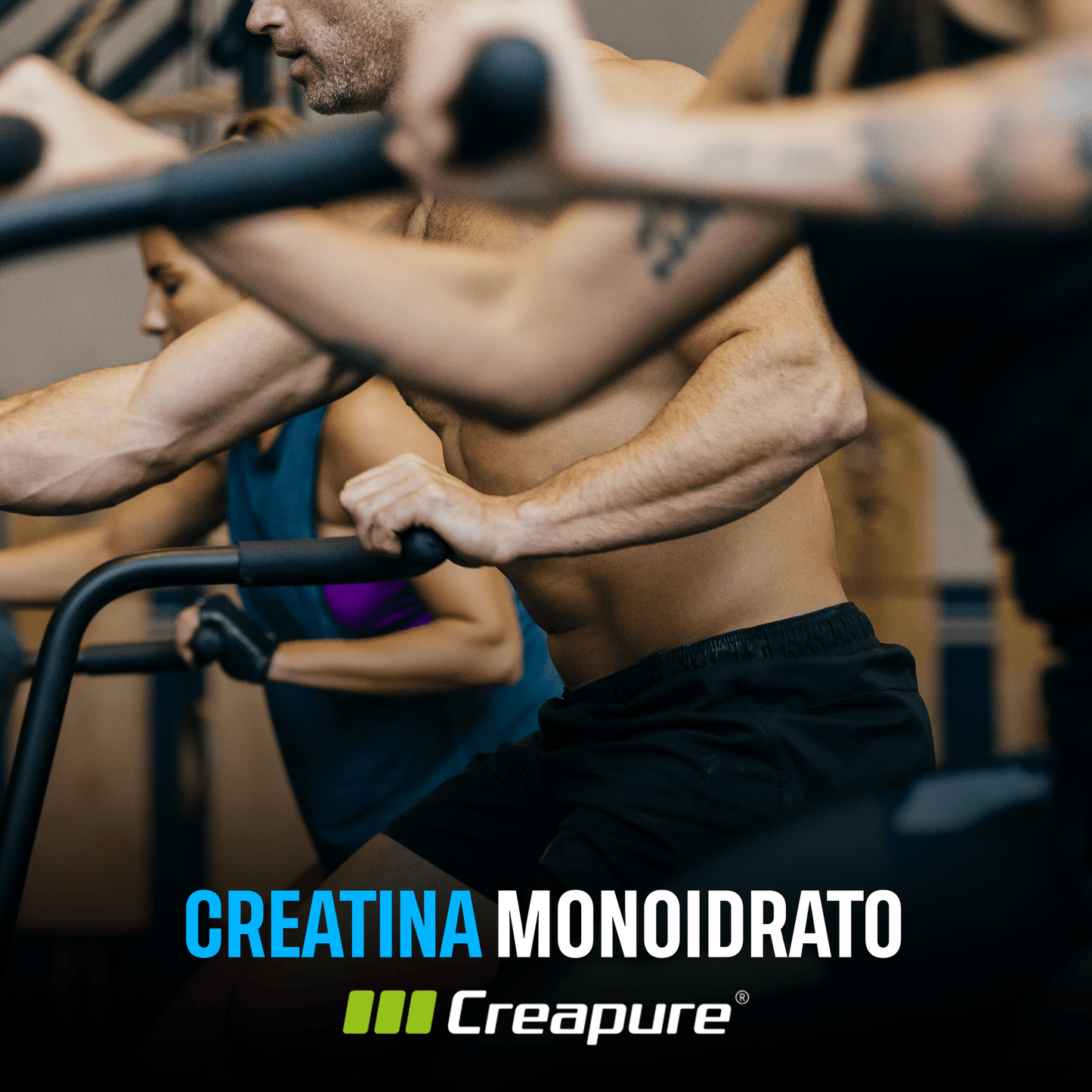 Alphaking Creatina Monoidrato 200 Mesh | Maxi Dosaggio: 3g per Dose | Qualità Premium | Supporto per Forza, Massa Muscolare e Performance | Massima Solubilità e Assorbimento