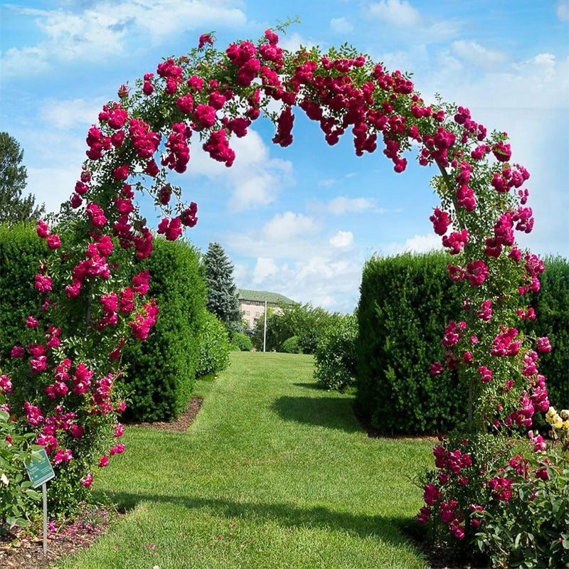 Arco Da Giardino Supporto, metallo per giardino e terrazza – vista dettagliata 7