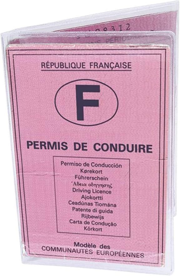 Custodia protettiva per carte di circolazione, carta di circolazione e patente di guida