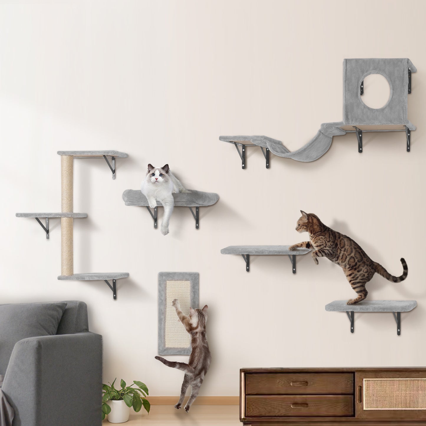 1pezzo VEVOR, 6 Pezzi, Scaffali Montati a Parete per Gatti, Albero con Piattaforme, Amaca, Set di 6, Scaffali per Gatti con Piattaforma, Scaffali per Gatti con Piattaforma, Scaffali per Gatti con Piattaforma, Scaffali per Gatti con Piattaforma, Scaffali p