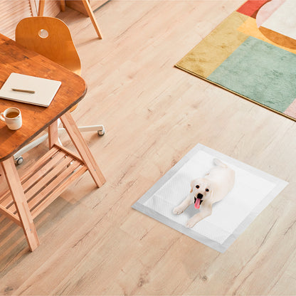 RMOVE 100 Traversine cane pipì 60x60 con adesivi - EXTRA Assorbenti con rivestimento antiodore (100 pz 60X60 cm)