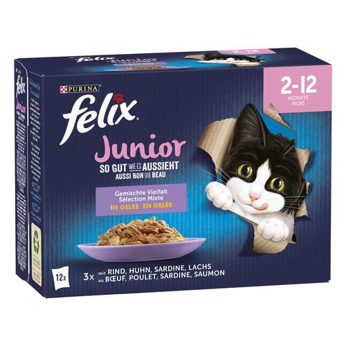 FELIX As Good As It Looks Cibo per Gatti Junior