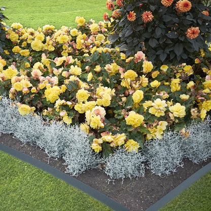 Bordura per Prato in Plastica 20m - Rotolo di Bordura per Aiuole, Recinzione da Giardino, Bordo per Fioriere, Decorazione per Giardino, Antracite/Grigio/Verde