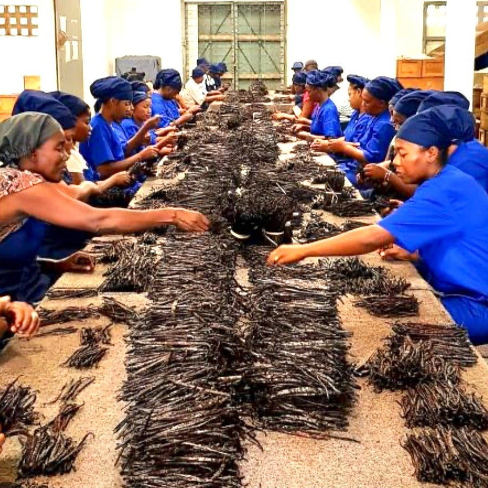 Polvere di Vaniglia Bourbon da Madagascar - Non Raffinata - Qualità Premium - Deliziosa e Aromatica - Ideale per Pasticceria e Dessert