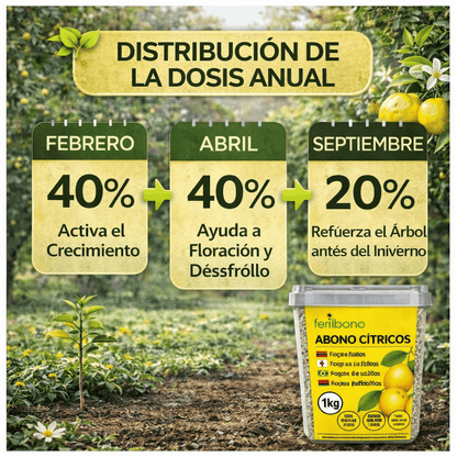 Fertilizzante Speciale per Agrumi per Alberi di Limone e Arancio, (2KG), 20-5-11 con Ferro, Calcio, Solfuro, Magnesio e Manganese - Correttore di Mancanza Multipla