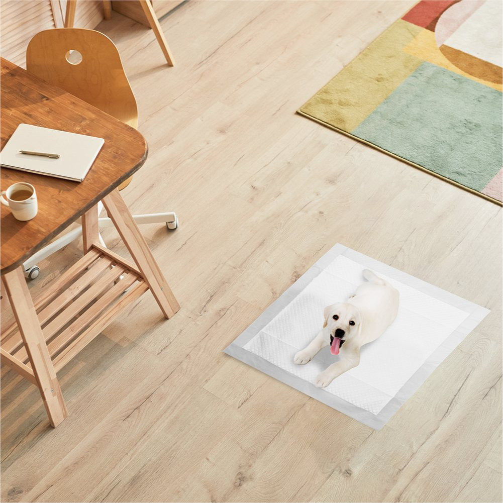 RMOVE 100 Traversine cane pipì 60x60 con adesivi - EXTRA Assorbenti con rivestimento antiodore (100 pz 60X60 cm)