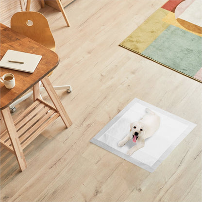 RMOVE 100 Traversine cane pipì 60x60 con adesivi - EXTRA Assorbenti con rivestimento antiodore (100 pz 60X60 cm)