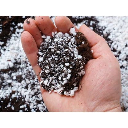 BIOVITA Perlite 10L - Perlite per Piante per il Miglioramento del Substrato del Terreno - 3-6mm - Miglioramento del Terreno - Substrato a Ritenzione Idrica - Ideale per Piante da Giardino e da Interno