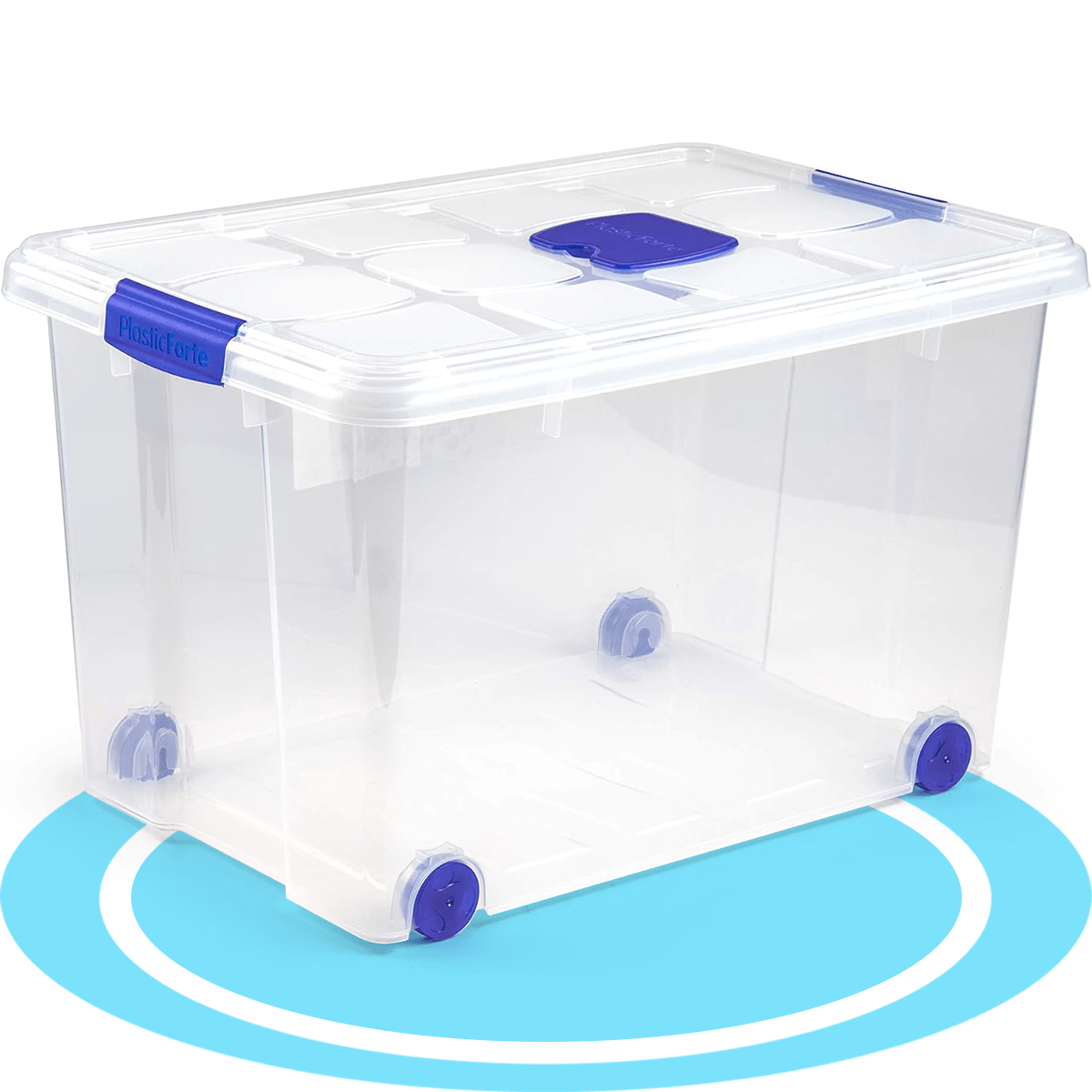 Scatola di Plastica per Organizzare Giocattoli, Libri, Documenti e Coperte - Chiusura Ermetica, Grande Capacità e Resistente - Dekohome
