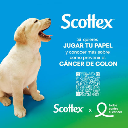 Scottex Carta Igienica, Rotoli A Doppio Strato Che Offrono Il Giusto Equilibrio Di Morbidezza E Resistenza