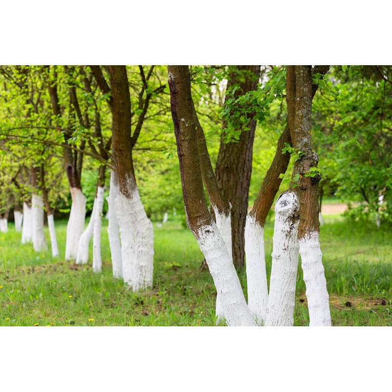 Calce per sbiancare alberi, arbusti e deacidificazione del terreno, 2 kg Biovita