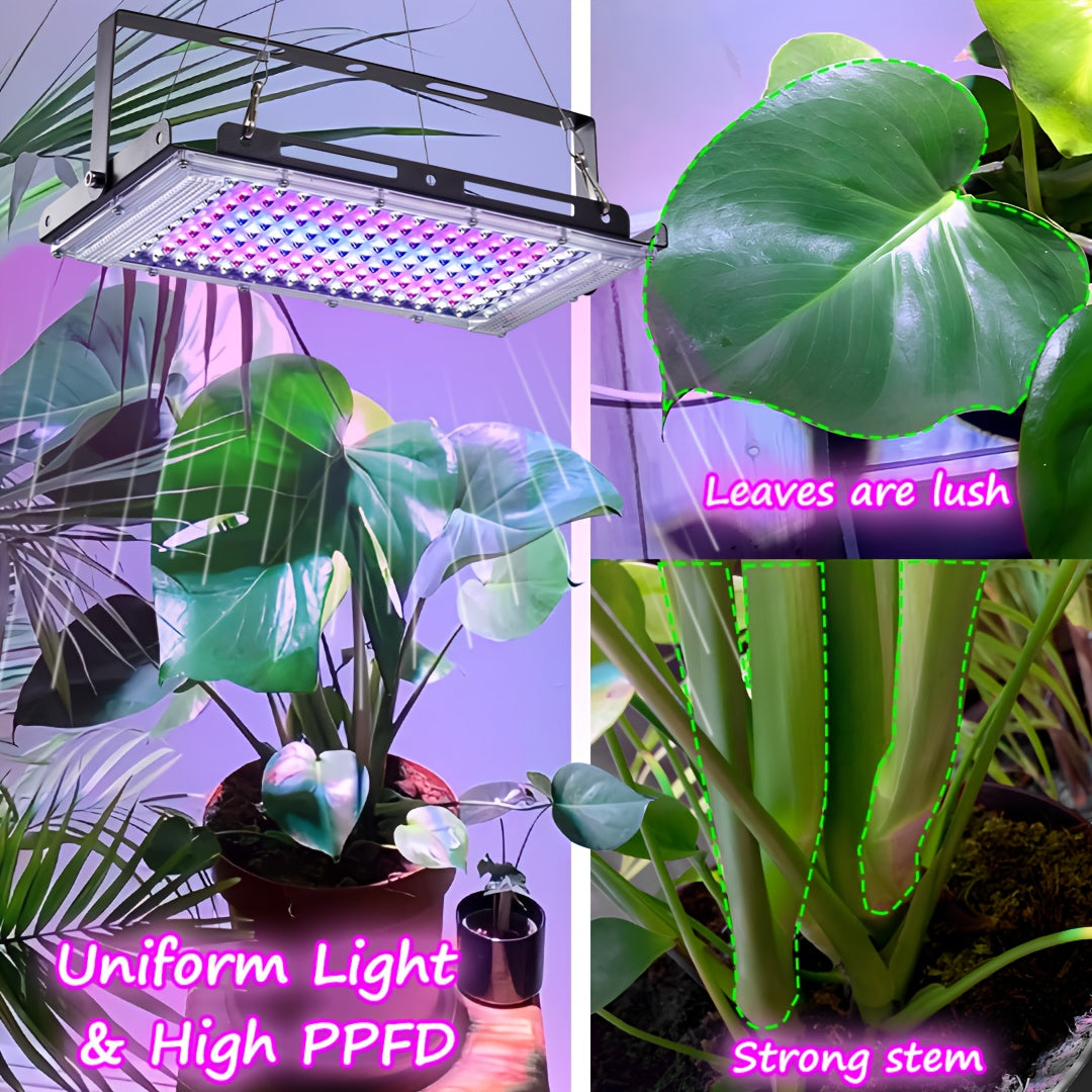 Set da 1/2/3 contenente 144 LED che forniscono luce a spettro completo per la coltivazione di piante, con spina USB 5V. Questa lampada da coltura sospesa include un interruttore on/off ed è adatta per piante da interno durante le fasi vegetativa e di fior