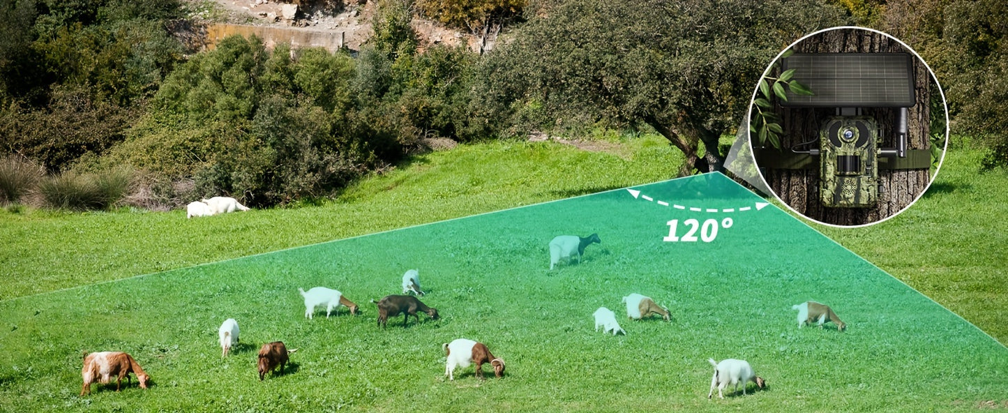 Fototrappola cellulare a energia solare 3G/4G LTE con streaming live 2.7K, attivazione a movimento 0.2s, visione notturna, archiviazione SD/cloud, controllo via app e scheda SIM inclusa – fotocamera per caccia e fauna selvatica per uso esterno, fotocamera