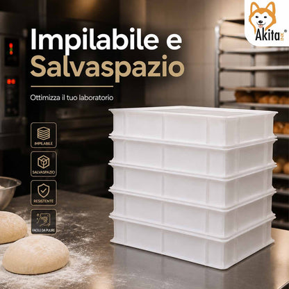 Cassetta Lievitazione Pizza e Pane portaimpasto con Coperchio