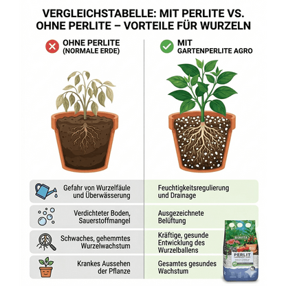 BIOVITA Perlite 10L - Perlite per Piante per il Miglioramento del Substrato del Terreno - 3-6mm - Miglioramento del Terreno - Substrato a Ritenzione Idrica - Ideale per Piante da Giardino e da Interno