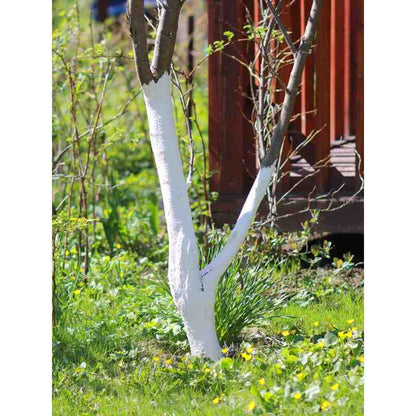 Calce per sbiancare alberi, arbusti e deacidificazione del terreno, 2 kg Biovita