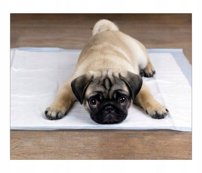 Assorbenti Igienici per Cani, Tappetini per Addestramento alla Pipì, 90x60 (50pz), 60x60 (100pz), 45x60 (100pz)
