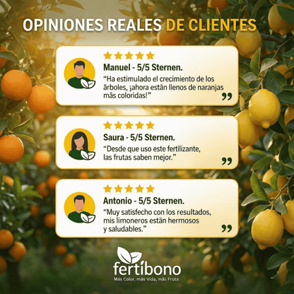 Fertilizzante Speciale per Agrumi per Alberi di Limone e Arancio, (2KG), 20-5-11 con Ferro, Calcio, Solfuro, Magnesio e Manganese - Correttore di Mancanza Multipla