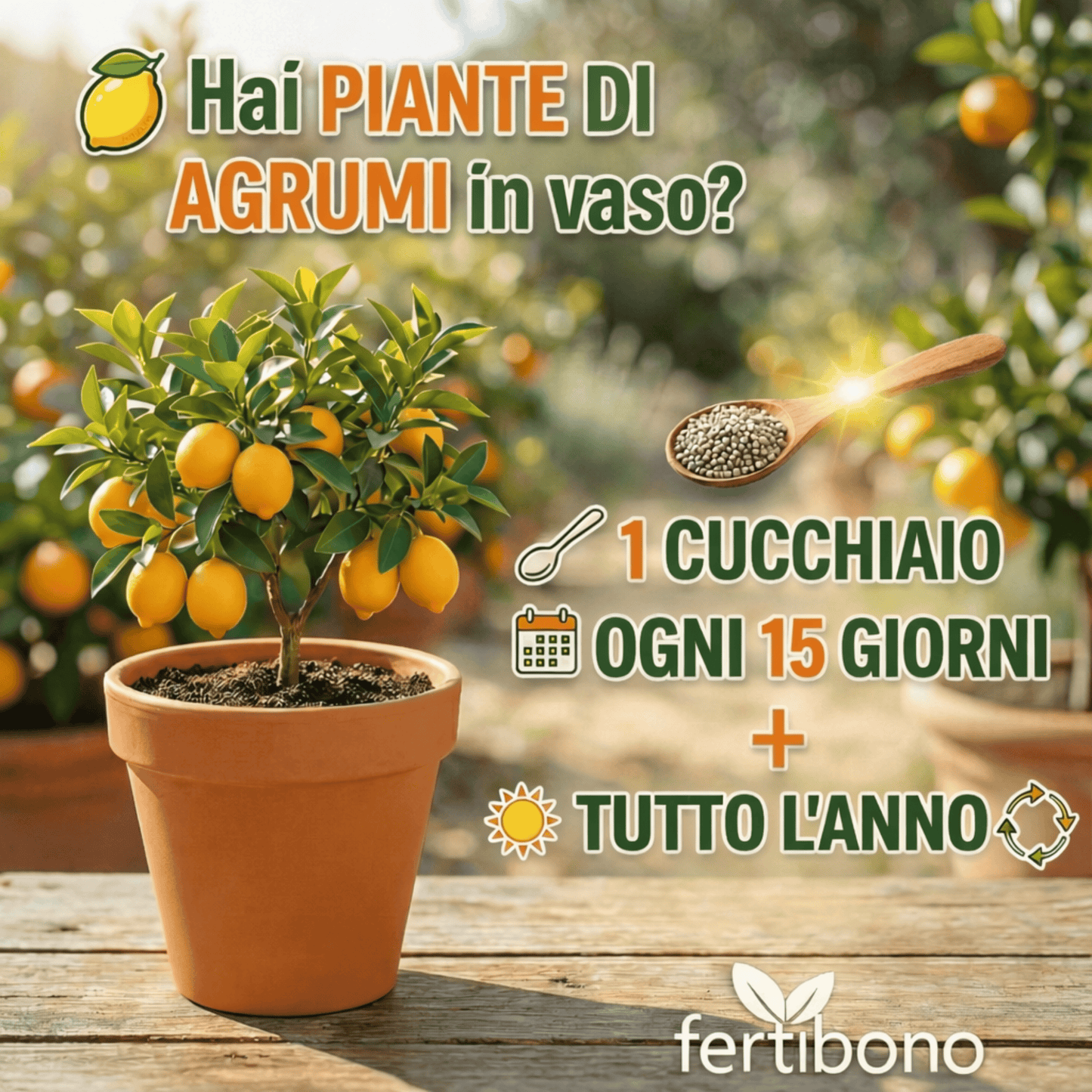 Fertilizzante Speciale per Agrumi per Alberi di Limone e Arancio, (2KG), 20-5-11 con Ferro, Calcio, Solfuro, Magnesio e Manganese - Correttore di Mancanza Multipla