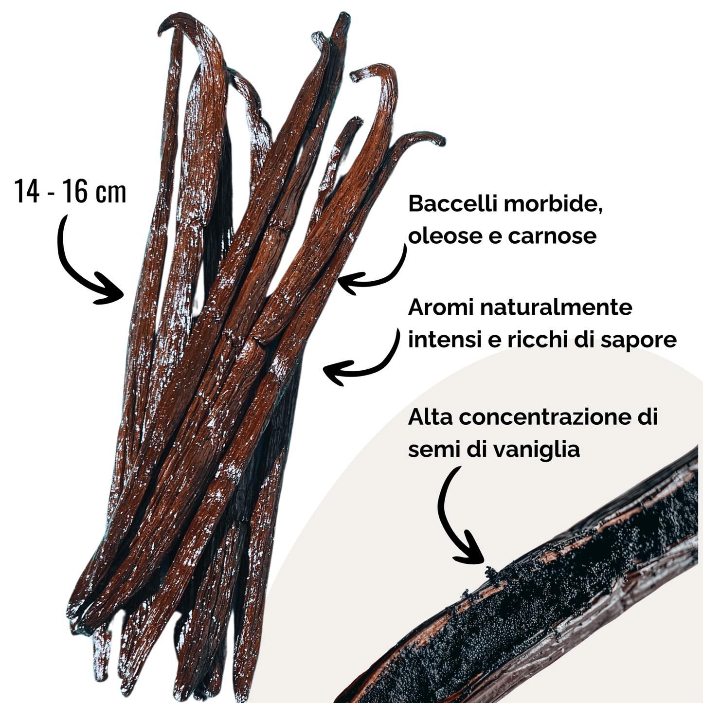 12 Baccelli di Vaniglia Grand Cru • Vaniglia di Qualità Extra Gourmet • Baccello Morbido e Carnoso • Busta Richiudibile - Conservazione a Lungo Termine • Selezione di Prestigio Vaniglia Natura