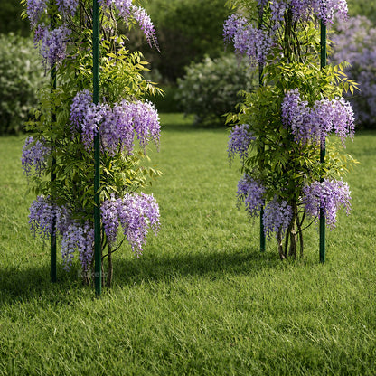 Arbor - Set di 2 pergole da giardino ad arco da 240 cm, supporto in metallo per piante rampicanti, rose, fiori, struttura per pergola da giardino ad arco per piante da giardino, decorazione da giardino, ingresso per matrimoni, patio, terreno, costruzione
