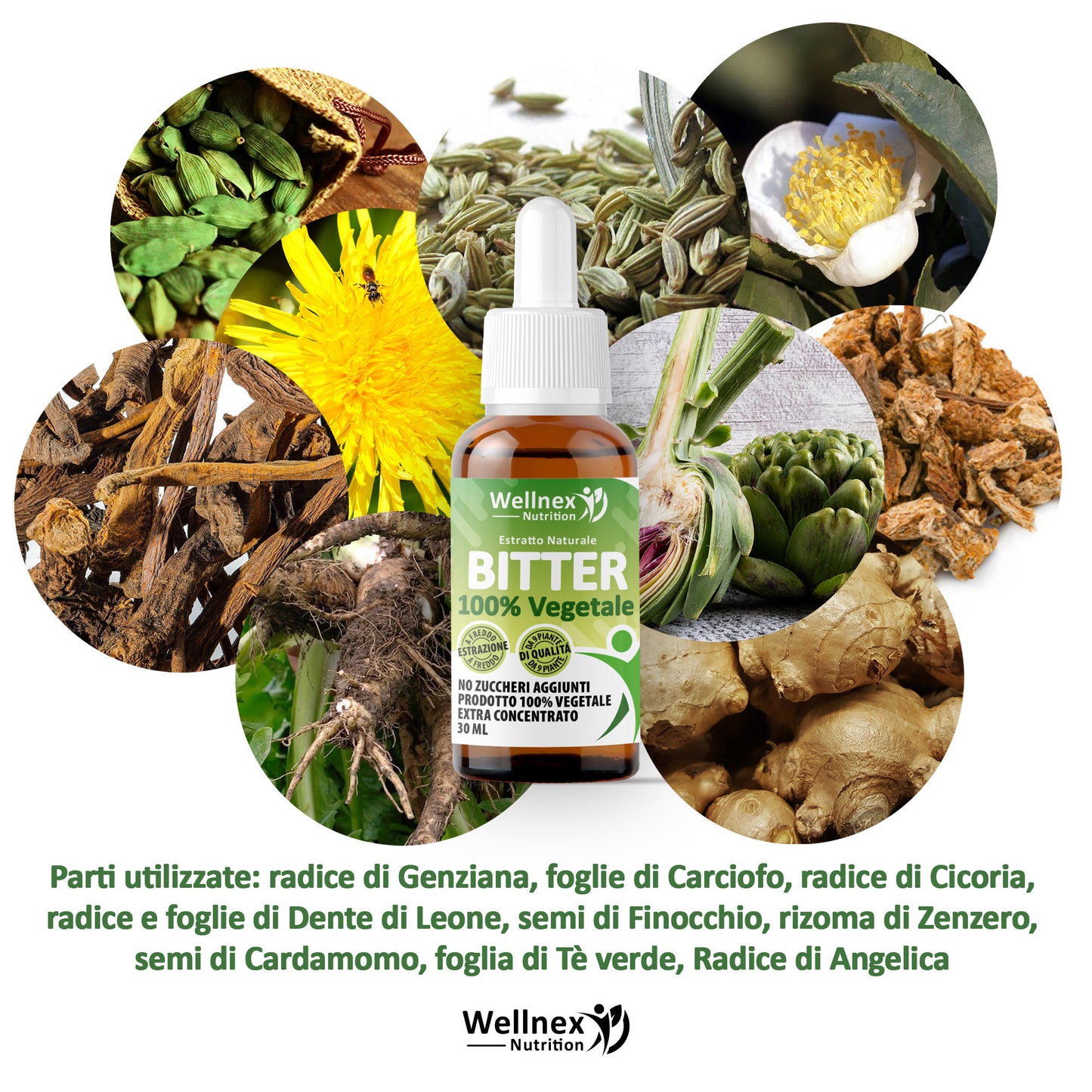 BITTER – 30ml, Estratto AMARO 100% Vegetale da 9 Piante, Senza Alcol, No Zuccheri Aggiunti, Estratto di Carciofo, Genziana, Cardamomo, Zenzero, Tè Verde, Dente di leone, Finocchio e Tarassaco | Wellnex Nutrition