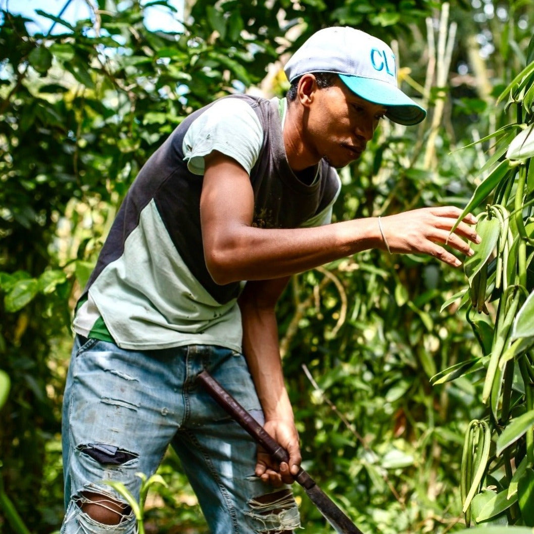Polvere di Vaniglia Bourbon da Madagascar - Non Raffinata - Qualità Premium - Deliziosa e Aromatica - Ideale per Pasticceria e Dessert