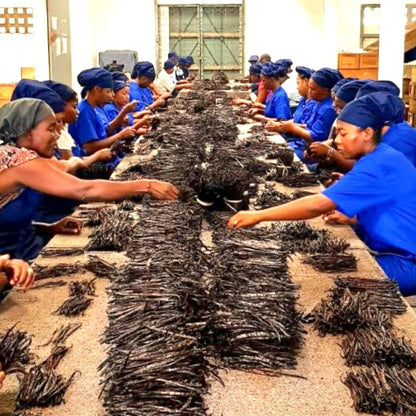 Polvere di Vaniglia Bourbon da Madagascar - Non Raffinata - Qualità Premium - Deliziosa e Aromatica - Ideale per Pasticceria e Dessert