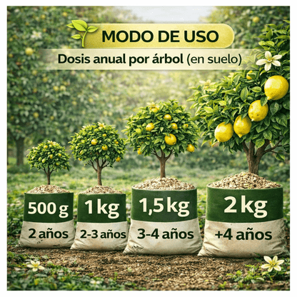 Fertilizzante Speciale per Agrumi per Alberi di Limone e Arancio, (2KG), 20-5-11 con Ferro, Calcio, Solfuro, Magnesio e Manganese - Correttore di Mancanza Multipla