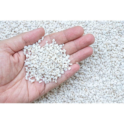 Biovita Perlite Horticultura 10L Additivo Naturali per Allentare il Suolo