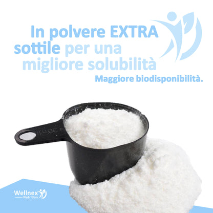 Collagene Marino Idrolizzato 45g | Integratore Alimentare - 15 Dosi | Peptidi di Collagene da pelle di Pangasio, fonte di Aminoacidi e Proteine | Wellnex Nutrition