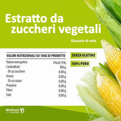 Eritritolo Biologico Puro - Eritritolo in polvere, Alternativa allo Zucchero | Dolcificante zero calorie | Wellnex Nutrition