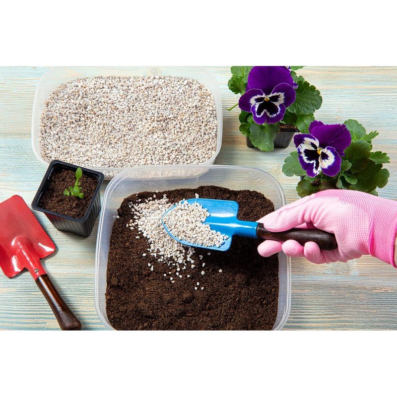 Biovita Perlite Horticultura 10L Additivo Naturali per Allentare il Suolo
