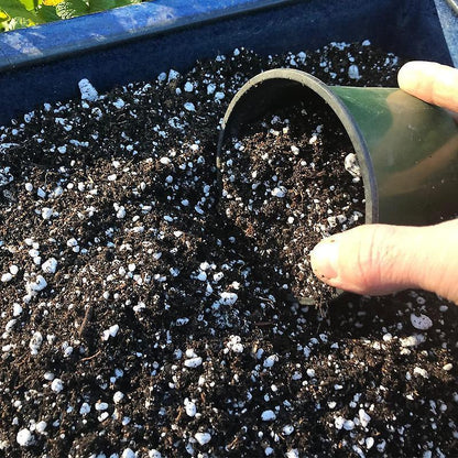 Biovita Perlite Horticultura 10L Additivo Naturali per Allentare il Suolo