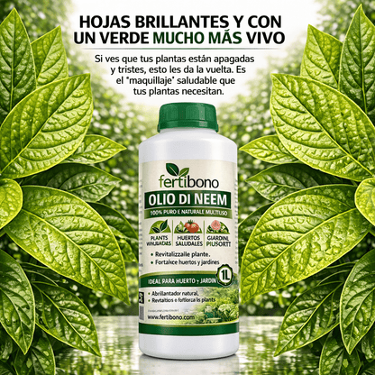 FERTIBONO Olio di Neem 100% Puro, 500 ml, Spremuto a Freddo | Multiuso per Piante, Orto e Giardino