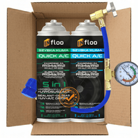 1x INfloo QUICK A/C R134a 5w1 + 1x INfloo QUICK A/C R134a + Cavo con manometro