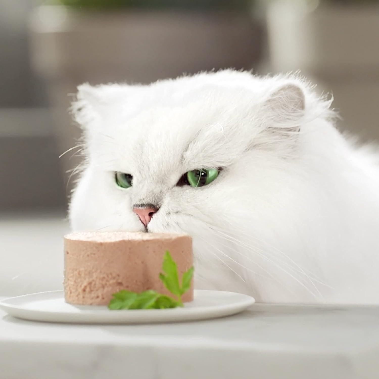 Alimento Umido, 8 x 85 g per Gatti GOURMET Gold Fine Pâté e uso quotidiano – vista dettagliata 3