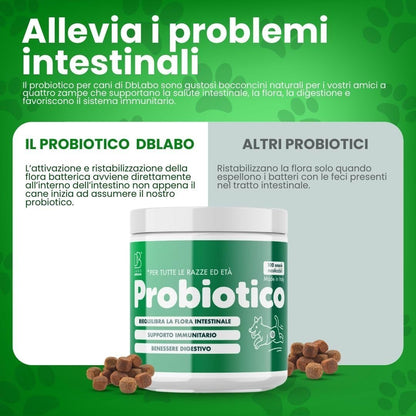 DB Labo - Probiotici per Cani - Probiotico Digestivo Per Cani dona Benessere - Fermenti Lattici Cane