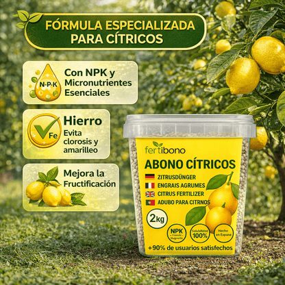 Fertilizzante Speciale per Agrumi per Alberi di Limone e Arancio, (2KG), 20-5-11 con Ferro, Calcio, Solfuro, Magnesio e Manganese - Correttore di Mancanza Multipla