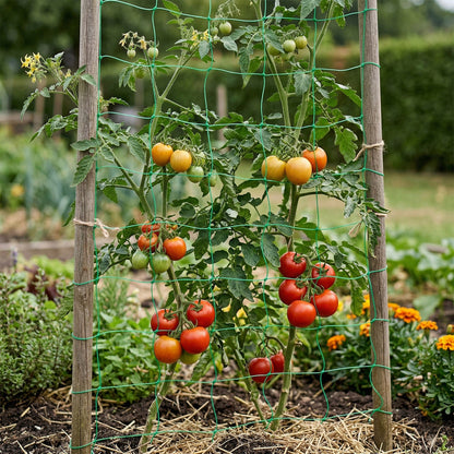 Rete da giardino per piante rampicanti 1.2×20M Supporto per la crescita di cetrioli, fagioli e fiori rampicanti, rete resistente con maglia da 15 × 17 cm che garantisce una guida stabile delle piante in verticale e un miglior accesso alla luce, rete per c