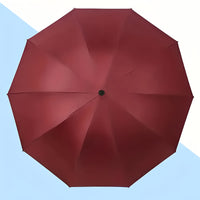 colore bordeaux