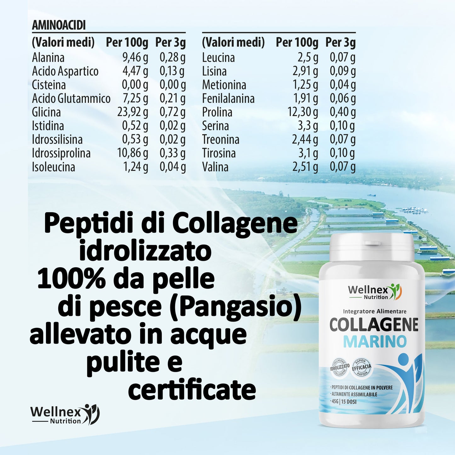 Collagene Marino Idrolizzato 45g | Integratore Alimentare - 15 Dosi | Peptidi di Collagene da pelle di Pangasio, fonte di Aminoacidi e Proteine | Wellnex Nutrition
