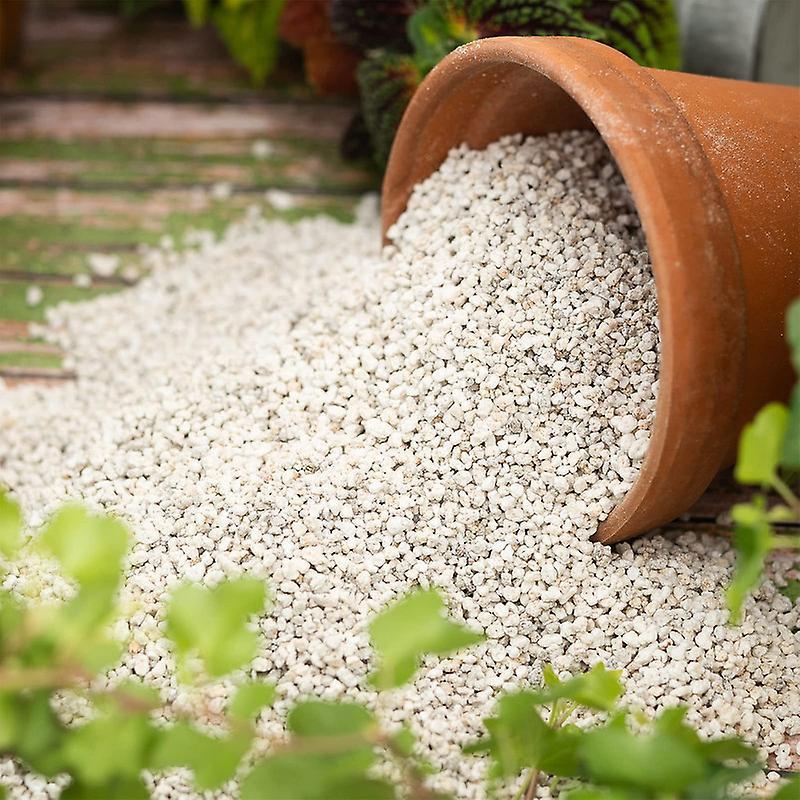 Biovita Perlite Horticultura 10L Additivo Naturali per Allentare il Suolo