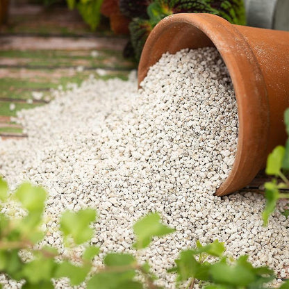 Biovita Perlite Horticultura 10L Additivo Naturali per Allentare il Suolo