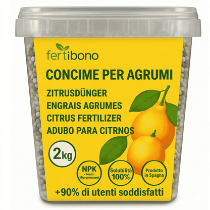 Fertilizzante Speciale per Agrumi per Alberi di Limone e Arancio, (2KG), 20-5-11 con Ferro, Calcio, Solfuro, Magnesio e Manganese - Correttore di Mancanza Multipla