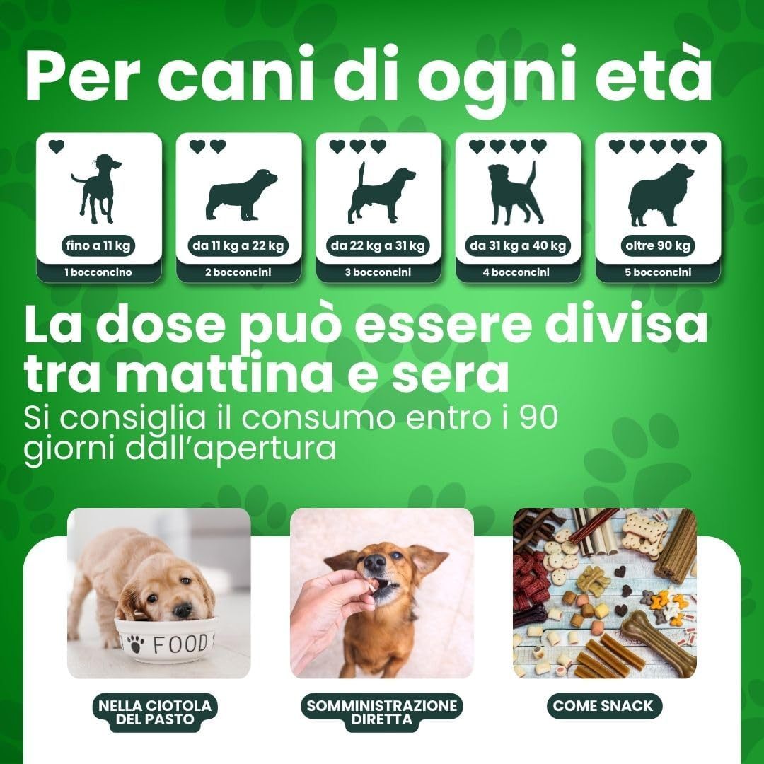 DB Labo - Probiotici per Cani - Probiotico Digestivo Per Cani dona Benessere - Fermenti Lattici Cane