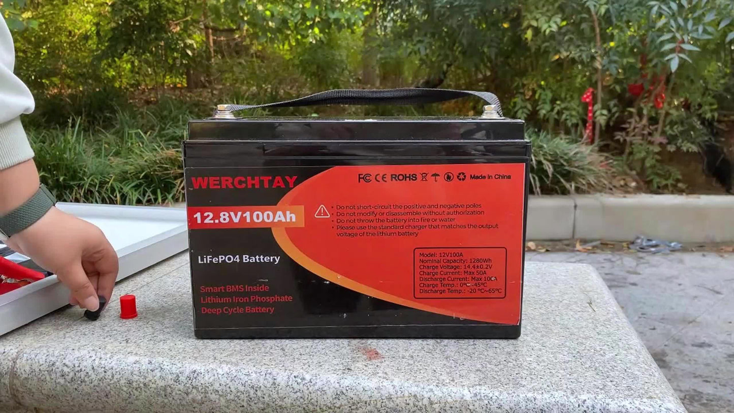 Batteria WERCHTAY 12.8V LiFePO4 300/200/100Ah, Dotata di Celle di Batteria di Grado A+, Oltre 25000 Cicli di Scarica Profonda, Protezione Intelligente BMS da Sovraccarica/Sottocarica, per Accumulo Energetico Domestico, Camper da Esterno, Applicazioni Sola