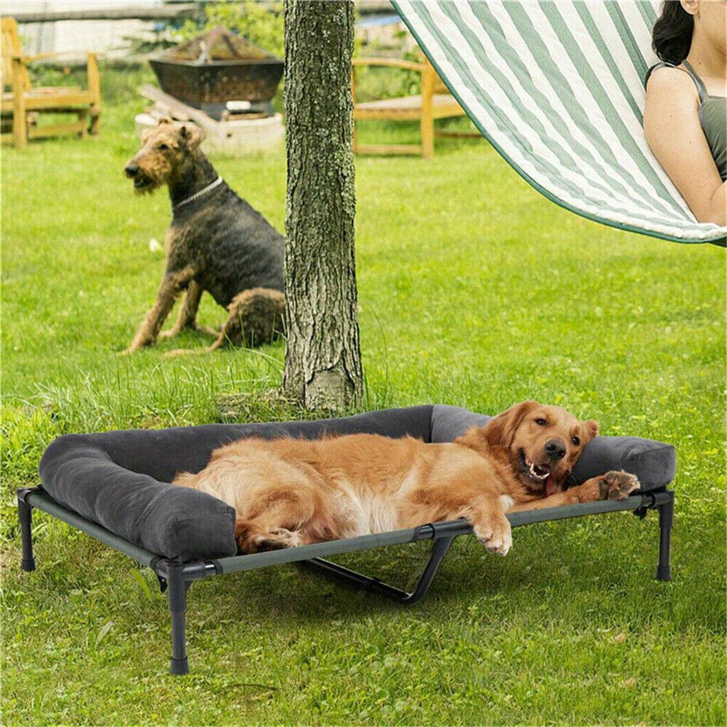 Letto per Cani da Campeggio Rialzato L/XL/2XL - Lettino Esterno di Alta Qualità con Tappetino Traspirante e Morbidi Tappeti in Peluche, Struttura Robusta per Cani Grandi, Poliestere Resistente ad Tutte le Condizioni Atmosferiche, Montaggio Facile e Design