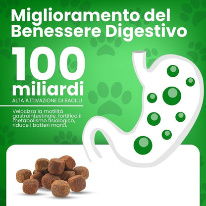 DB Labo - Probiotici per Cani - Probiotico Digestivo Per Cani dona Benessere - Fermenti Lattici Cane