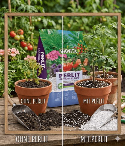 BIOVITA Perlite 20L - Perlite per Piante per Miglioramento del Substrato del Suolo - 3-6Mm - Miglioramento del Suolo - Substrato per lo Stoccaggio dell'Umidità - Ideale per Giardino e Piante da Interno